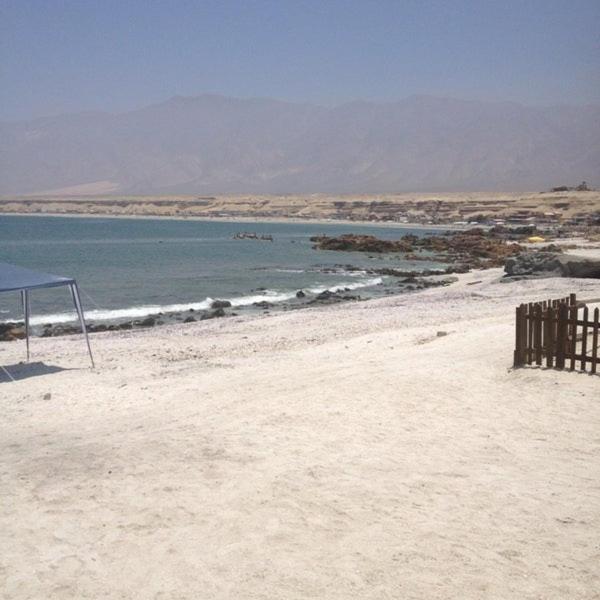 Hotel Alto Antofagasta Dış mekan fotoğraf